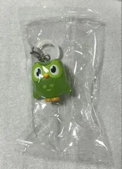 Duolingo めじるしアクセサリー — image 1