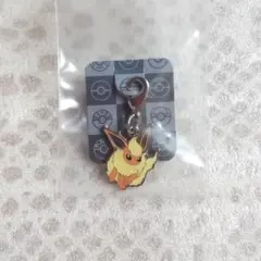 ポケモン ブースター メタルチャーム — image 1