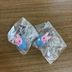 skzoo めじるしチャーム　ソロキャンプ　トゥエッキ2個セット — image 1