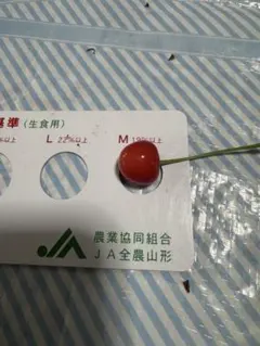 さくらんぼ 佐藤錦 — image 1