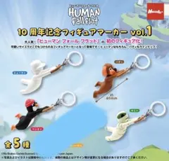 ヒューマンフォールフラット めじるしアクセサリー — image 1