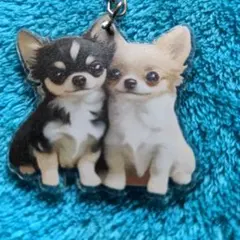 新品未使用で可愛いチワワ アクリルキーホルダーです — image 1