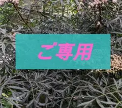 うえたん様ご専用 — image 1