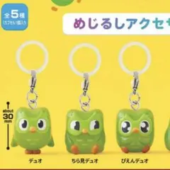 Duolingo めじるしアクセサリー　3種セット — image 1