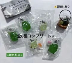 モリゾーとキッコロめじるしアクセサリー 全6種コンプリート — image 1
