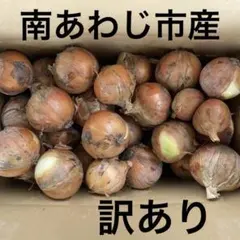 訳あり　淡路島産玉ねぎ　ターザン訳あり10キロ① — image 1