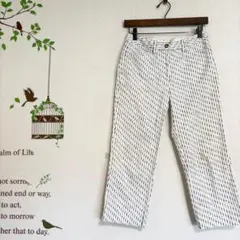 LANDS'END/クロップドパンツ ストレートパンツ ストライプ柄 サイズ61 — image 1