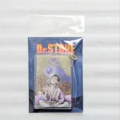 Dr.STONE　あさぎりゲン　グリッター　キーホルダー　タロット　アクスタ — image 1