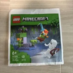 LEGO Minecraft 30705 The Lush Cave Fight — image 1