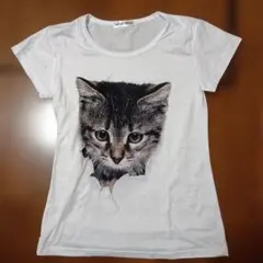 MEINUODUO 猫プリント 半袖Tシャツ ホワイト — image 1