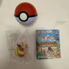 ポケモンゲットコレクションズ ブースター（ガムなし） — image 1