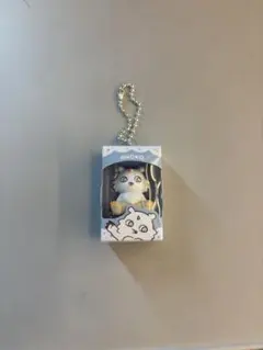 ちいかわチョコボックス あのこ — image 1