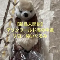 【新品未開封】ラッコ　リロ　ぬいぐるみ　マリンワールド海の中道限定 — image 1