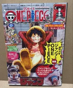 ワンピースマガジン 20号 ONE PIECE magazine 【付録なし】 — image 1
