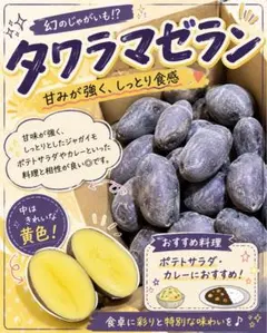 タワラマゼラン 箱込み約１キロ　　一度食べて欲しいセール！ — image 1