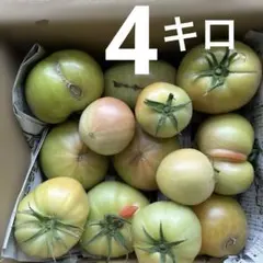 北海道産　訳あり品　桃太郎トマト　4キロ — image 1