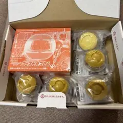 付録　仮面ライダーゼッツ ゴーストカプセム　ヴラム　ゴジュウジャー — image 1