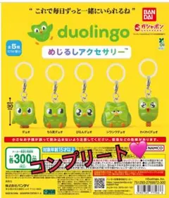 Duolingo めじるしアクセサリー 全5種 コンプリート — image 1