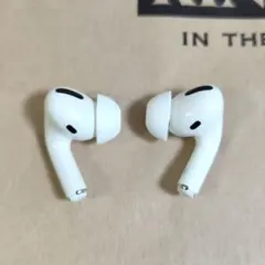 Apple AirPods Pro 両耳のみ LR 939 — image 1