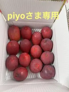 piyoさま専用 — image 1