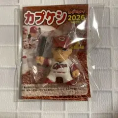 カプケシ　2026 秋山　1点 — image 1