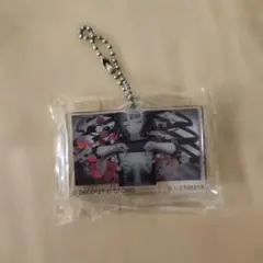 DECO*27 乙女解剖 アクリルキーホルダー ガチャガチャ — image 1