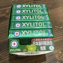 LOTTE XYLITOL キシリトールガム ライムミント 20個入 — image 1