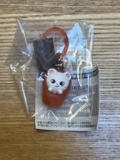 SKZOOめじるしアクセサリーソロキャンプ ジニレット — image 1