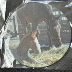 名牝メモリアルコースター　ロカ　競馬　馬　ノベルティ — image 1
