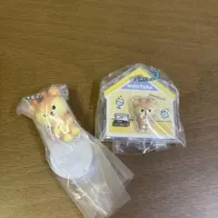 miniteen ジョシュア — image 1