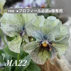 ree ●プロフィール必読●様専用•*¨*•.¸♬︎ — image 1