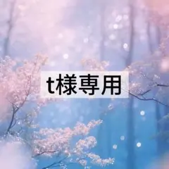 t様専用 — image 1