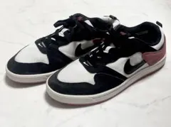 Nike SB Alleyoop ナイキ SB アリウープ 24.5cm — image 1