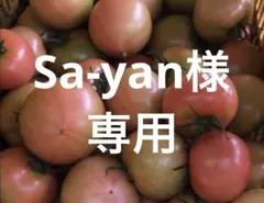 Sa-yan様　専用 — image 1