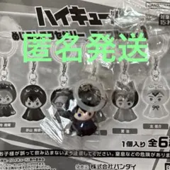 ハイキュー　めじるしアクセサリー　アニマル　ver.1 — image 1