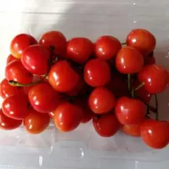 ★よし★様専用 — image 1