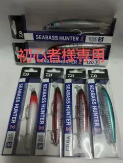 DAIWA SEABASS HUNTER Z 6点セット — image 1