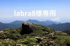 labra8様専用 — image 1