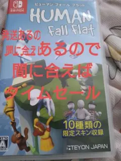 ヒューマンフォールフラット　Human Fall Flat Switch　ソフト — image 1