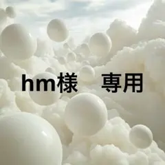 hm様　専用　No.160 — image 1