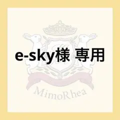 e-sky様 専用 — image 1