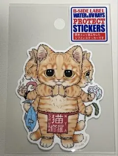 B-SIDE LABEL 猫修羅(トラ) ホシノジン — image 1