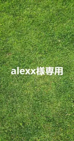alexx様専用 — image 1