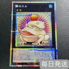 遊戯王　餅カエル　プリズマティックシークレットレア　1枚　プリシク　エクシーズ — image 1