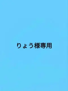 りょう様専用　人工芝 — image 1