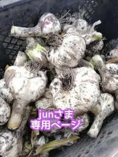 junさま専用ページ — image 1