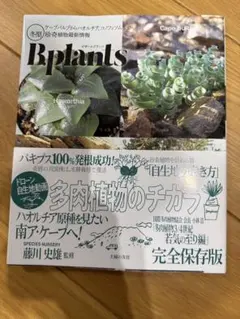 Bplants ビザールプランツ 冬型 珍奇植物最新情報 — image 1