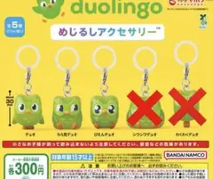 Duolingo めじるしアクセサリー 3種セット — image 1