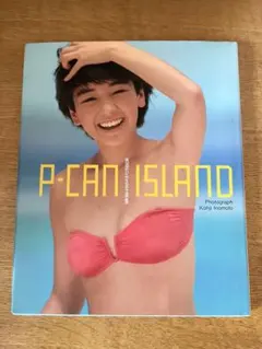 入手困難傑作★西田ひかる 写真集『P-CAN ISLAND』初版 永久保存版 — image 1