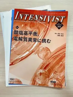 （裁断済）INTENSIVIST Vol.17 — image 1